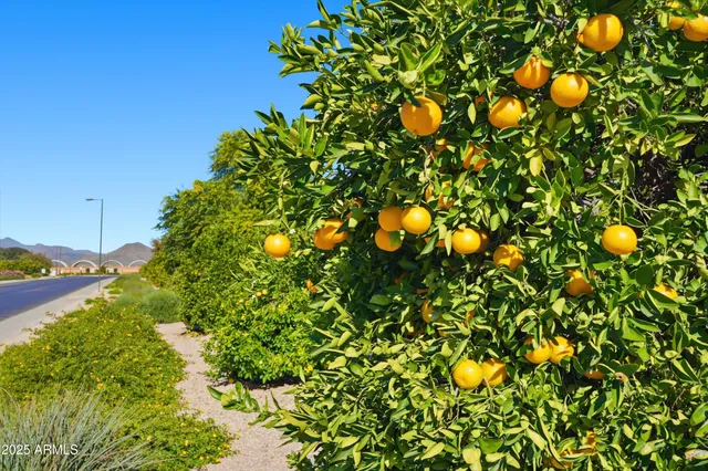 $495,000 | 3343 East Russell Street, Mesa, AZ 85213