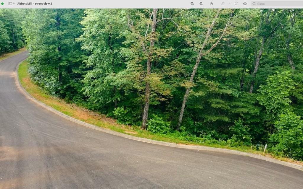 0 Abbott Mill Road Ellijay, GA 30540 - Photo 3 of 6