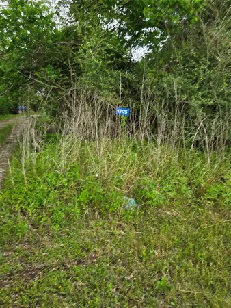$335,000 | 13175 Farm To Market 1458, San Felipe, TX 77474
