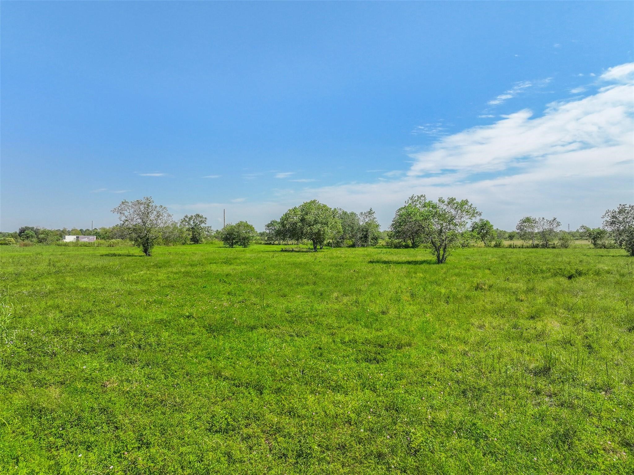 11715 County Road 48 Rosharon, TX 77583 - Photo 9 of 10