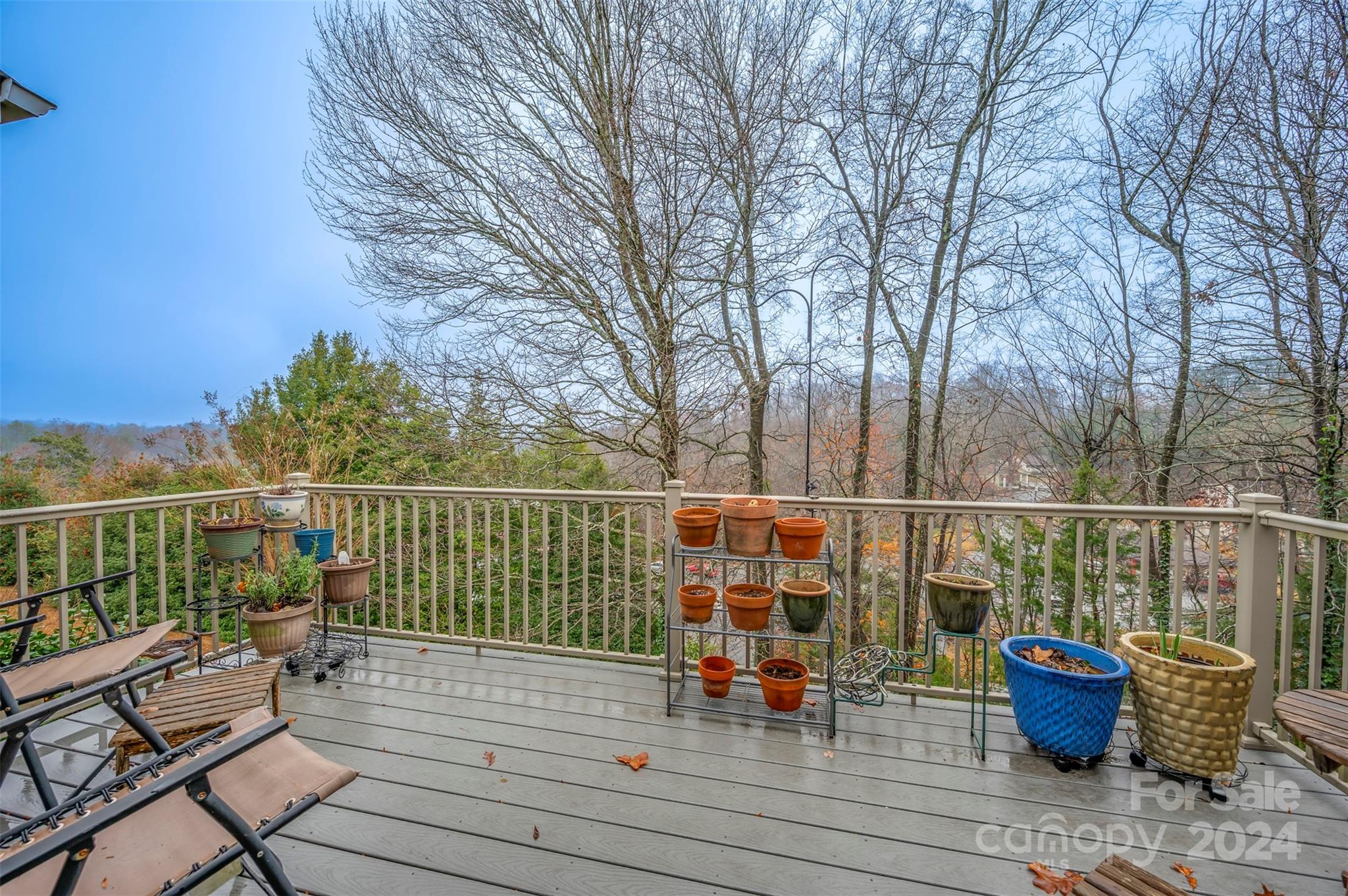 77 Chestnut Street, Unit 306 Tryon, NC 28782 - Photo 18 of 36