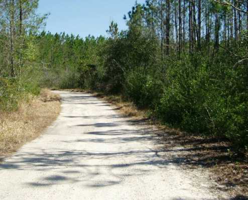 0 Bear Pond Road Moss Point, MS 39562 - Photo 2 of 7 Additional Photo