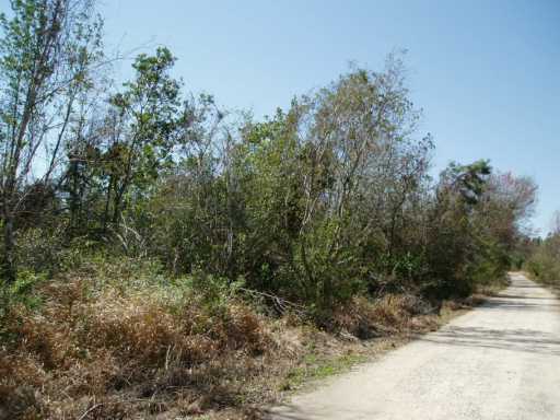0 Bear Pond Road Moss Point, MS 39562 - Photo 4 of 7 Additional Photo