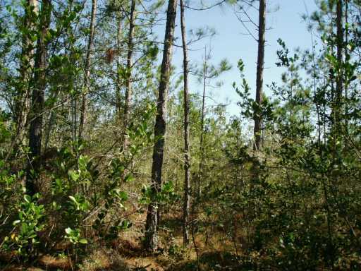 0 Bear Pond Road Moss Point, MS 39562 - Photo 6 of 7 Additional Photo