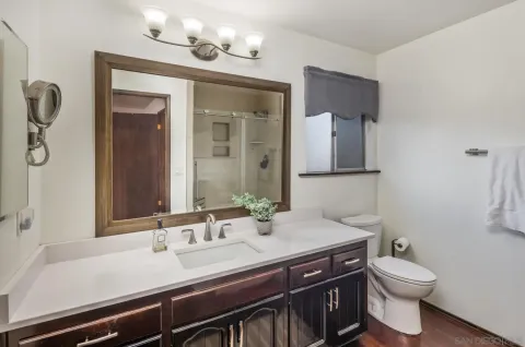 a bathroom with a sink a toilet and mirror