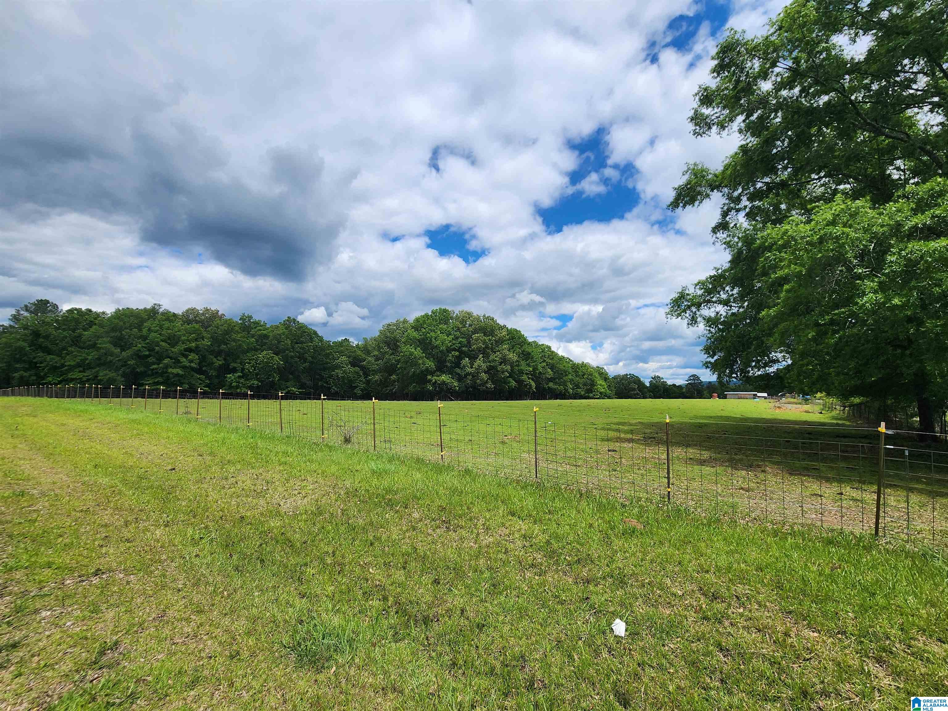 305 Stolle Farm Road, Unit METES AND BOUNDS Ashville, AL 35953 - Photo 2 of 7