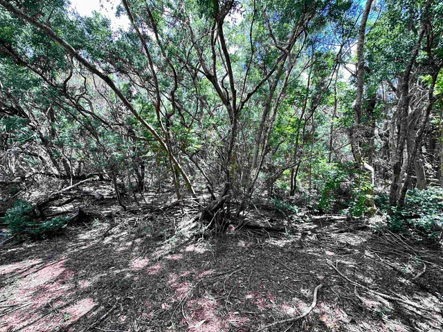 $185,000 | 0 Kahanui Acres Place, Unit LOT A, Kualapuu, HI 96757