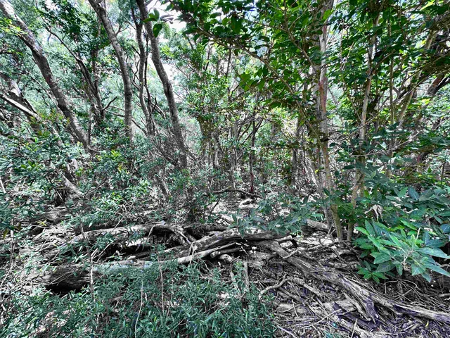 $185,000 | 0 Kahanui Acres Place, Unit LOT A, Kualapuu, HI 96757