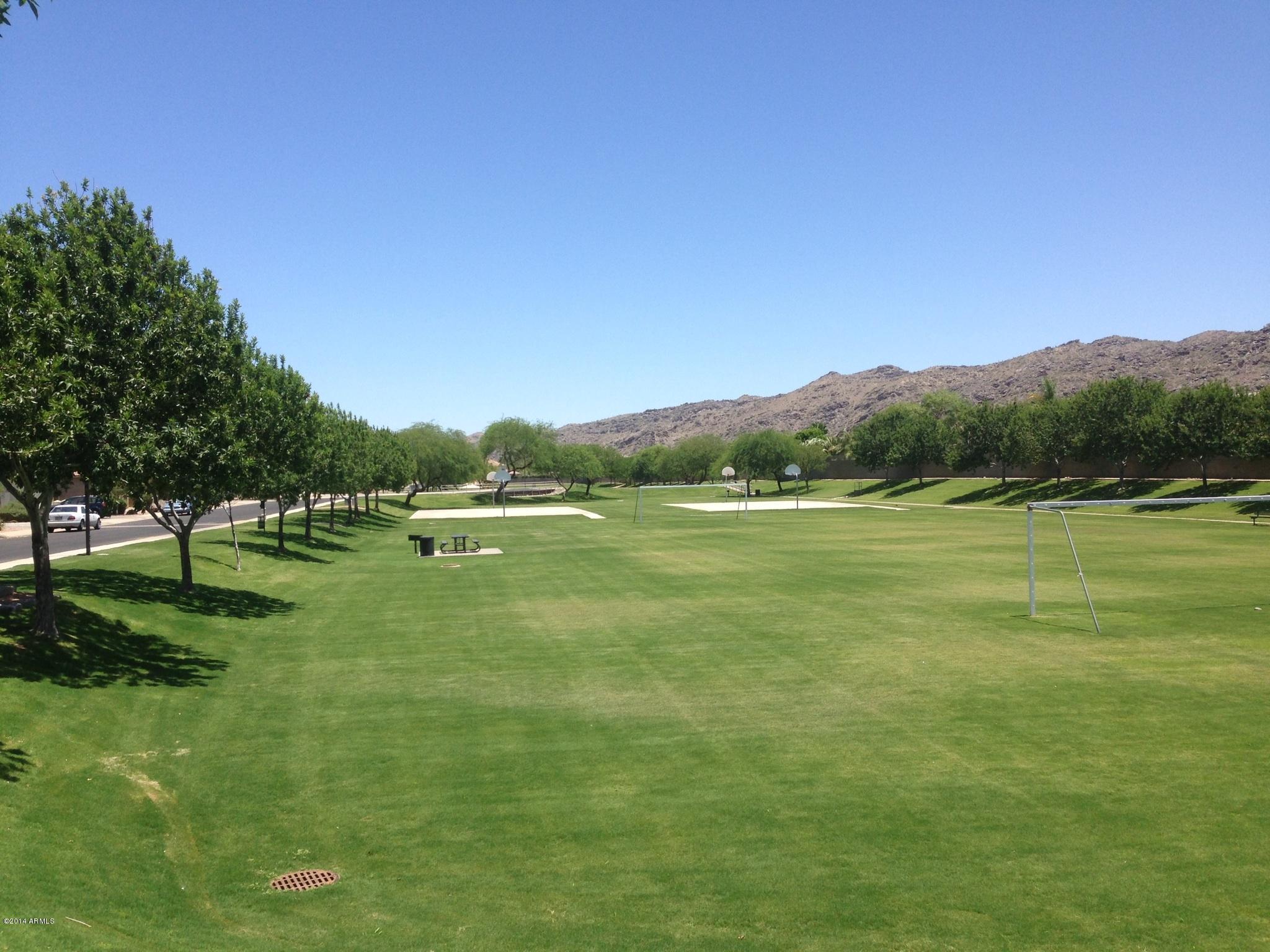 926 East Pedro Road Phoenix, AZ 85042 - Photo 2 of 3 pedro park 1