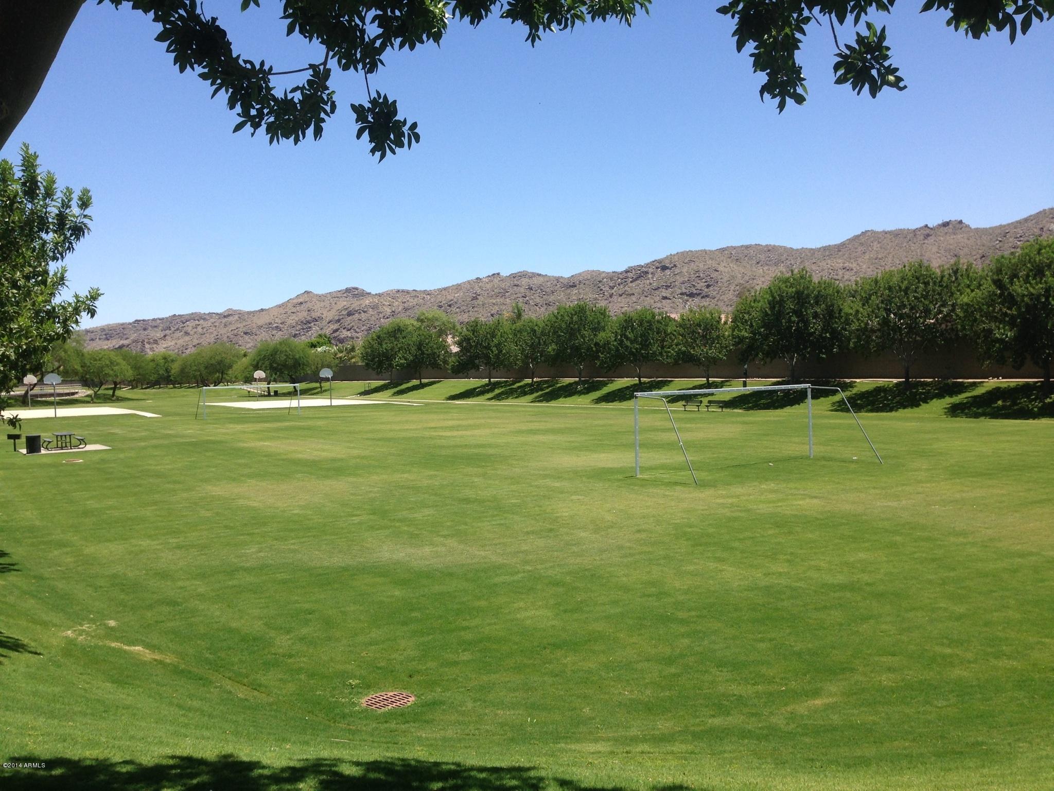 926 East Pedro Road Phoenix, AZ 85042 - Photo 3 of 3 pedro park 2