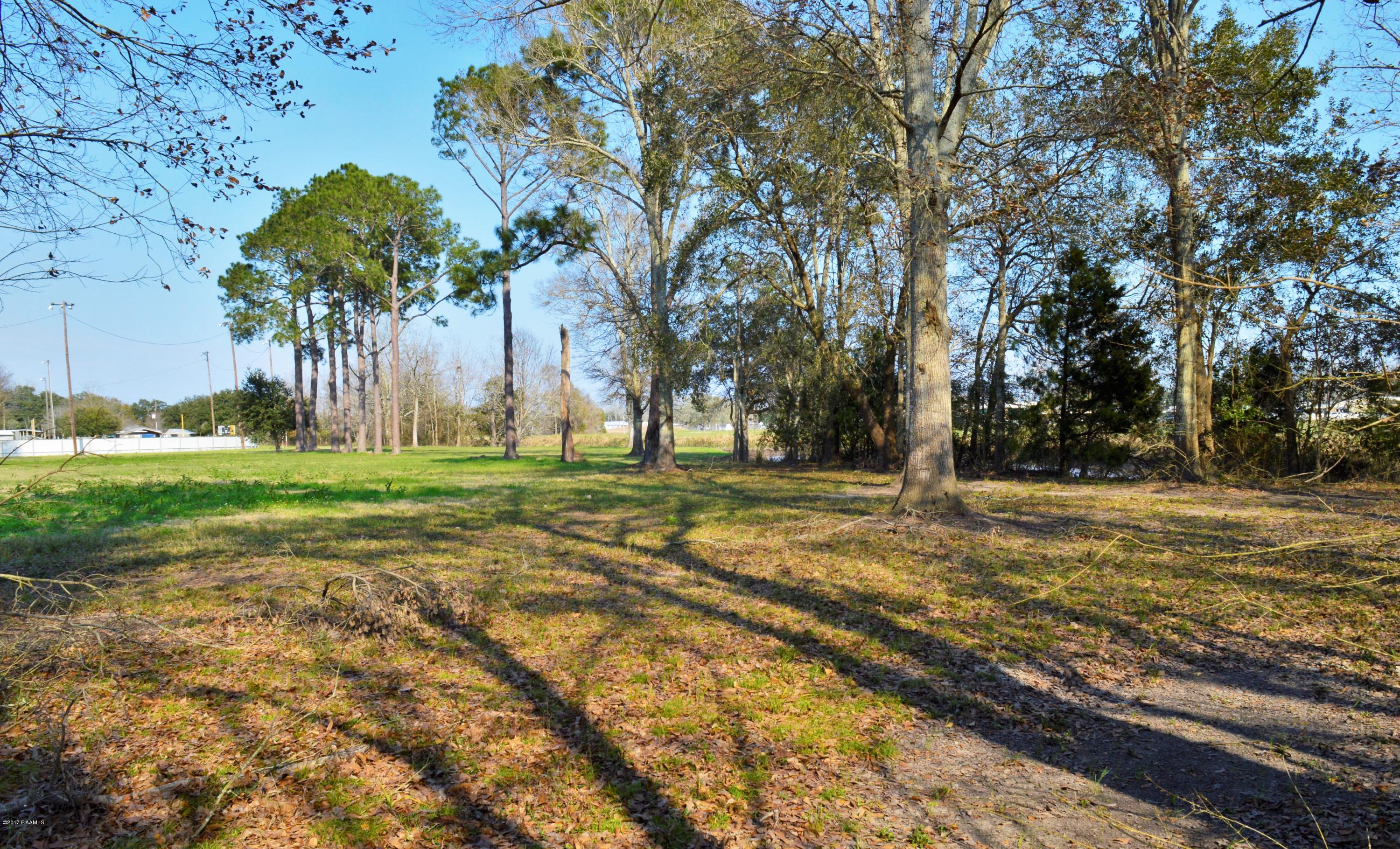 Tbd Charlie Field Road Erath, LA 70533 - Photo 8 of 17 Gallery Image 8