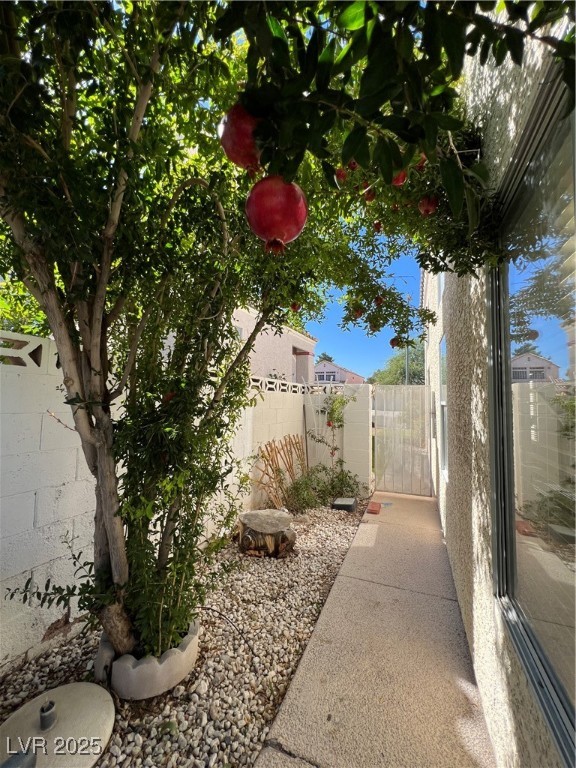 2436 Palm Shore Court Las Vegas, NV 89128 - Photo 36 of 50