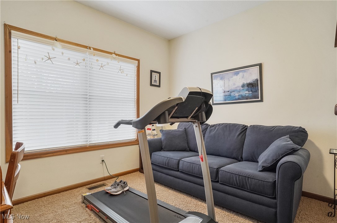 861 Susan Road Ravenna, OH 44266 - Photo 24 of 45 Exercise room featuring light carpet