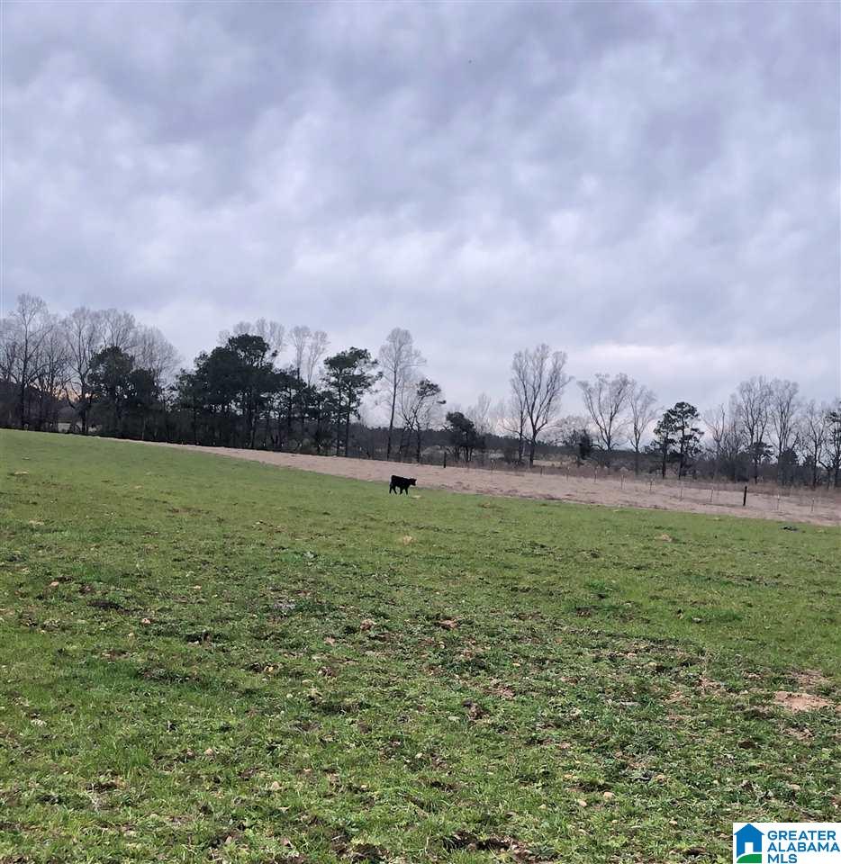 0 County Road 30, Unit 1 Clanton, AL 35045 - Photo 9 of 32