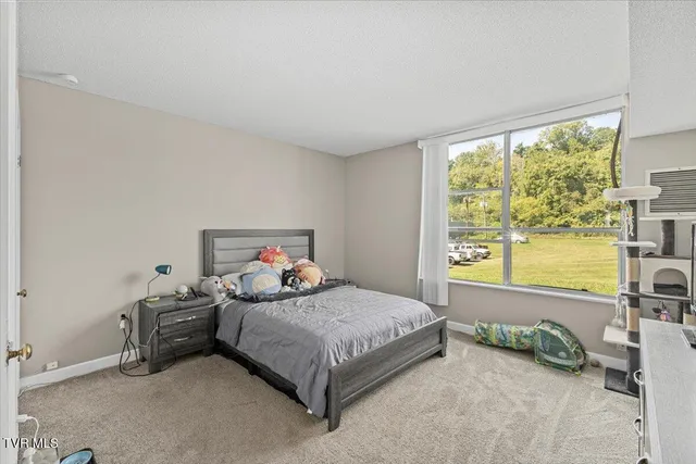 $800,000 | 420 Wheatley Street, Unit PT 5, Kingsport, TN 37660