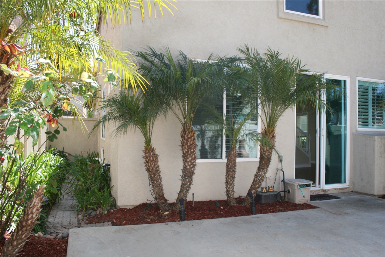 554 Whitesage Road San Marcos, CA 92078 - Photo 6 of 13 Gallery Image 6