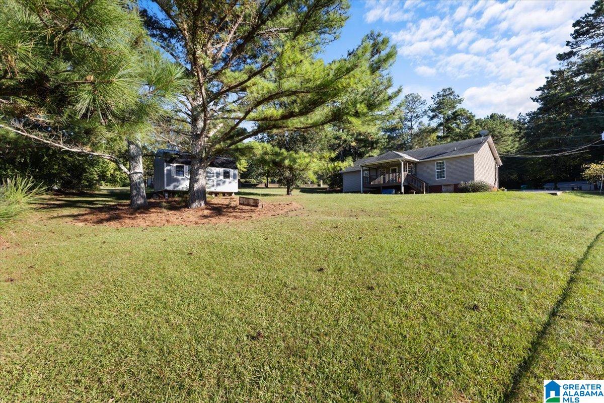 1077 Fred Terry Road Locust Fork, AL 35097 - Photo 21 of 25 Gallery Image 21
