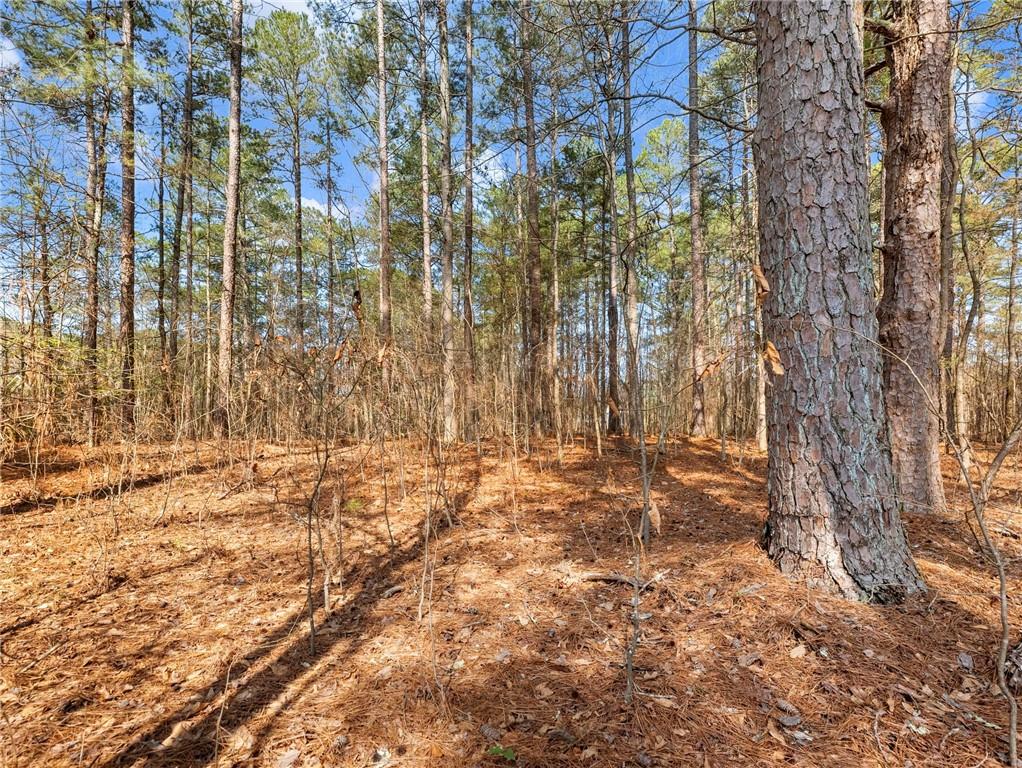 1686 Shoal Creek Road Monroe, GA 30656 - Photo 41 of 50 a view of under construction area