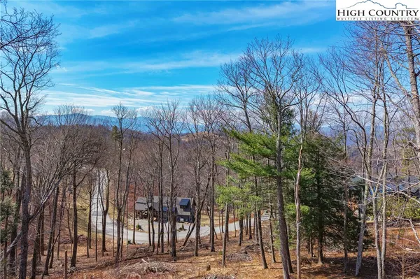 a view of backyard with green space
