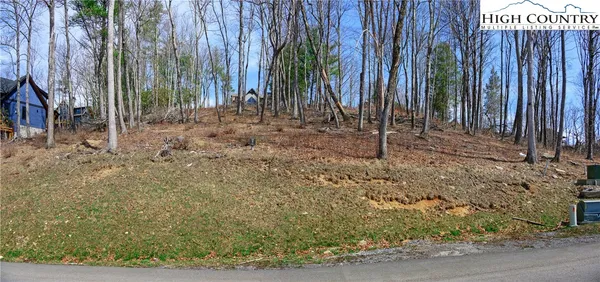 a view of a lush green space with sea