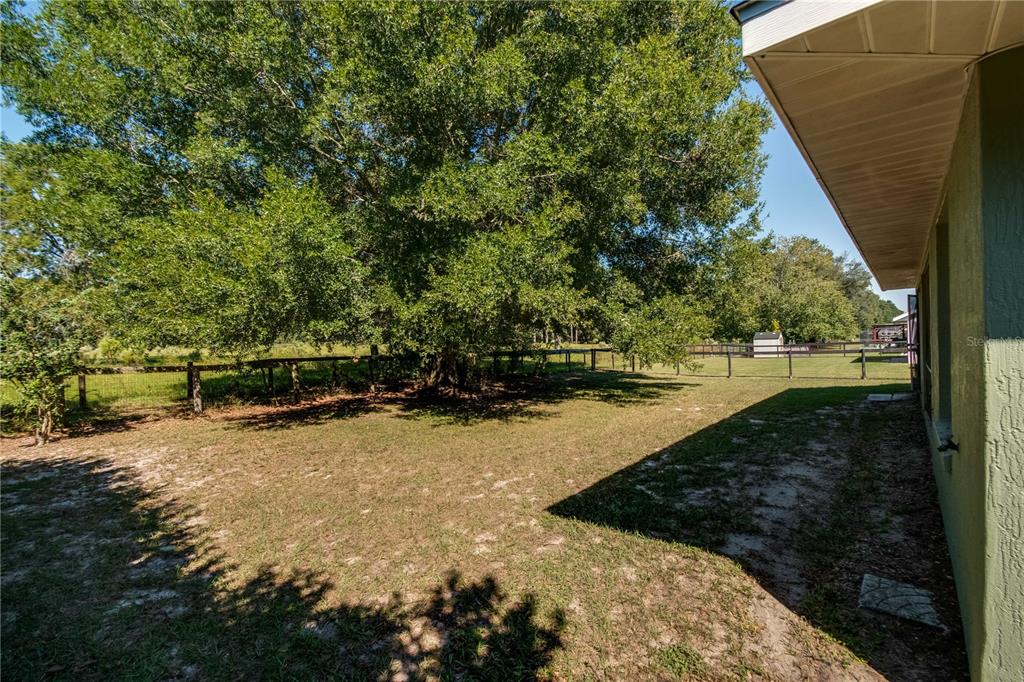 6375 Southwest 63rd Street Ocala, FL 34474 - Photo 31 of 35 a view of a backyard with large trees
