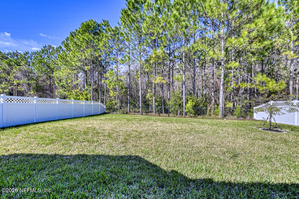 161 Archstone Way Street St. Augustine, FL 32092 - Photo 49 of 55 Back Yard - View 1