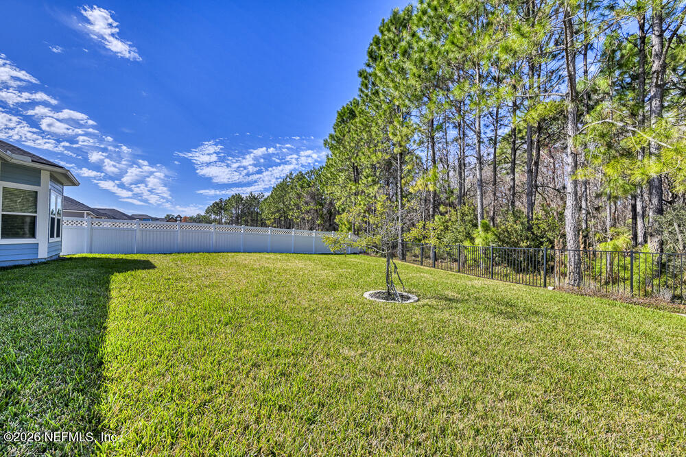 161 Archstone Way Street St. Augustine, FL 32092 - Photo 50 of 55 Back Yard - View 2