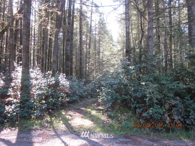 1111 Webb Road Southwest Lakebay, WA 98349 - Photo 1 of 5