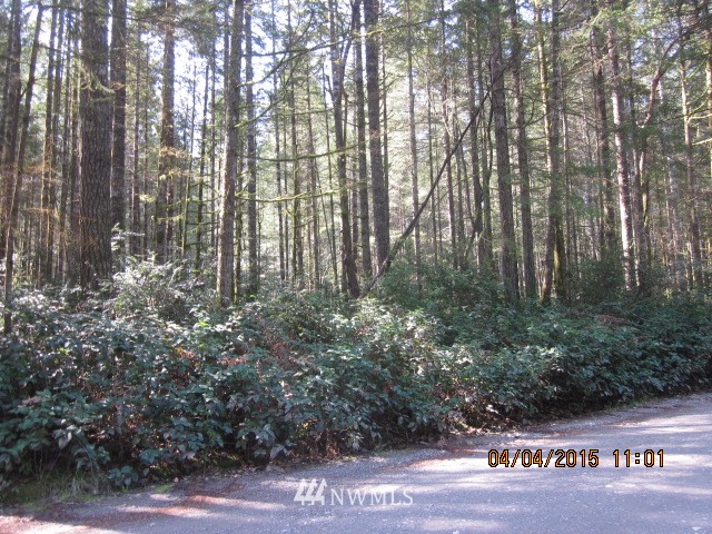 1111 Webb Road Southwest Lakebay, WA 98349 - Photo 3 of 5