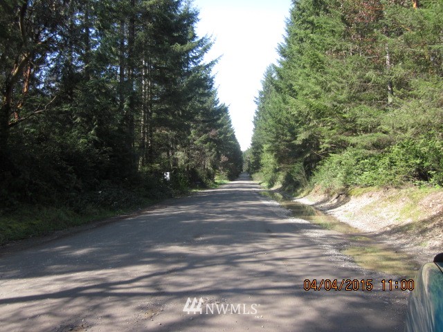 1111 Webb Road Southwest Lakebay, WA 98349 - Photo 4 of 5
