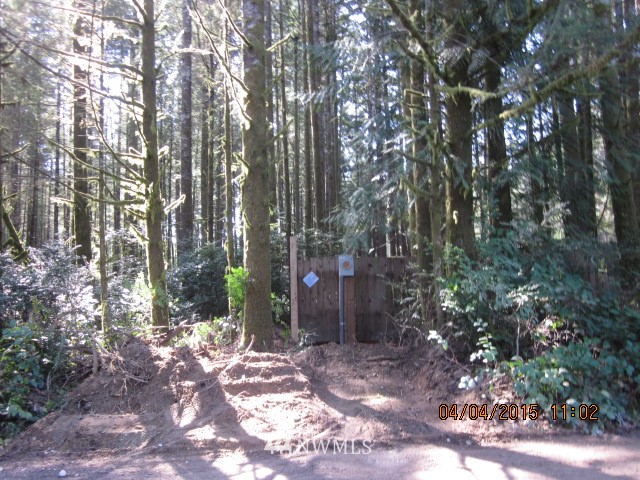 1111 Webb Road Southwest Lakebay, WA 98349 - Photo 5 of 5