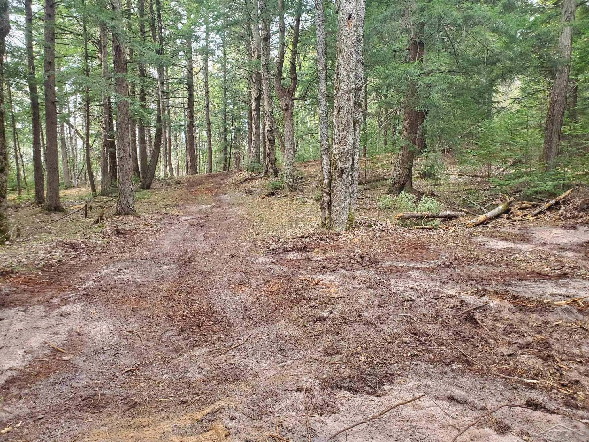 Old Plank Road Wetmore, MI 49895 - Photo 1 of 13