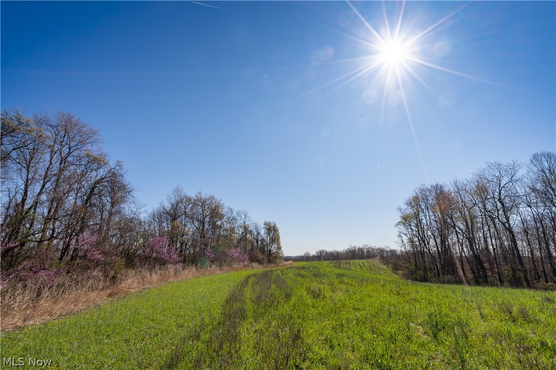 Sealover Hollow Rd Road Philo, OH 43771 - Photo 5 of 36