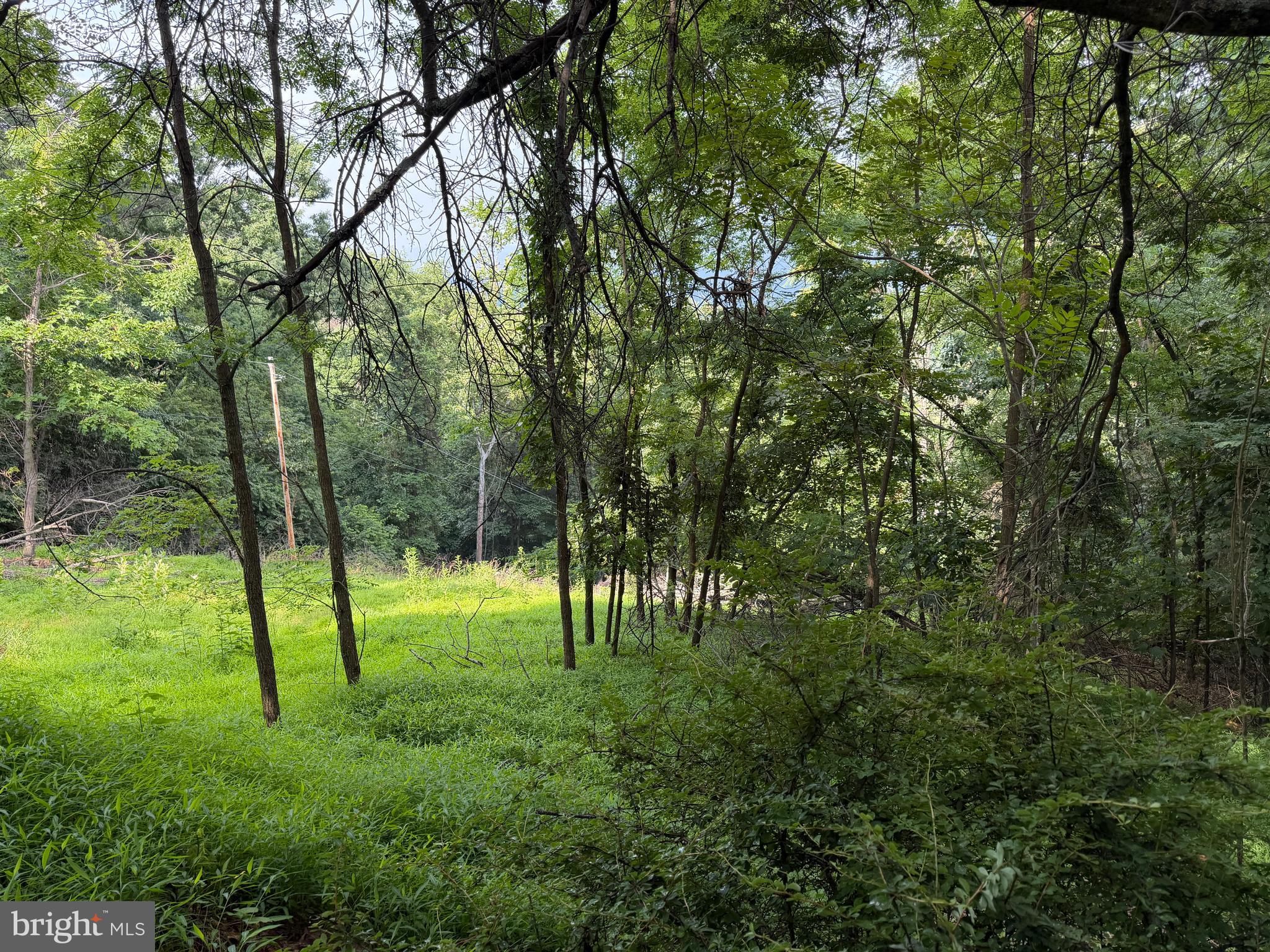 584 Berry Mountain Lane Mathias, WV 26812 - Photo 13 of 17