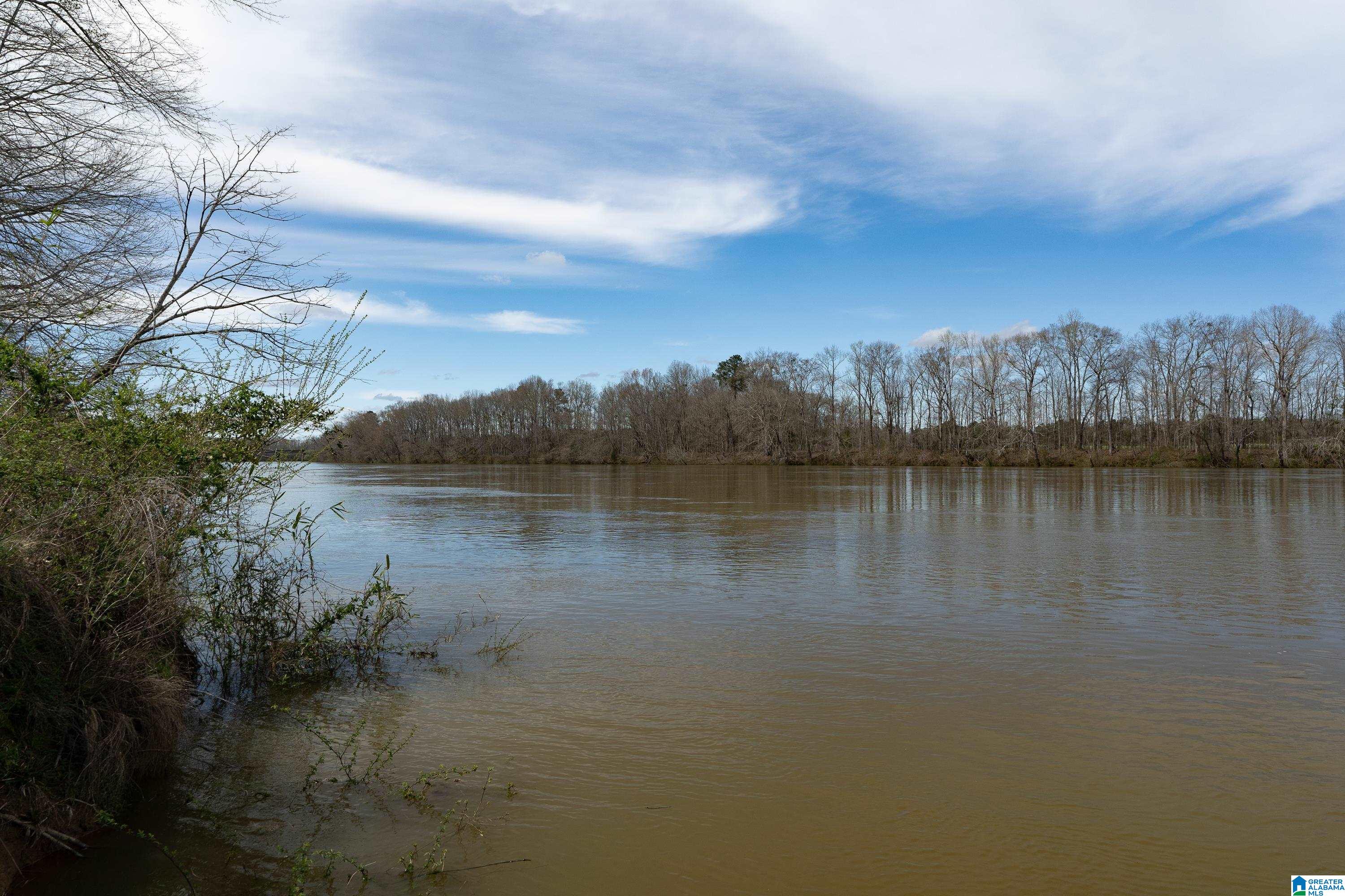 Bates Road, Unit 100 Vincent, AL 35178 - Photo 25 of 29