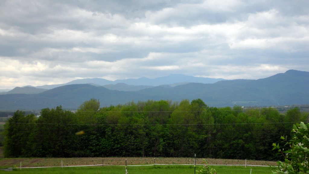 122 Vt17w Addison, VT 05491 - Photo 13 of 22
