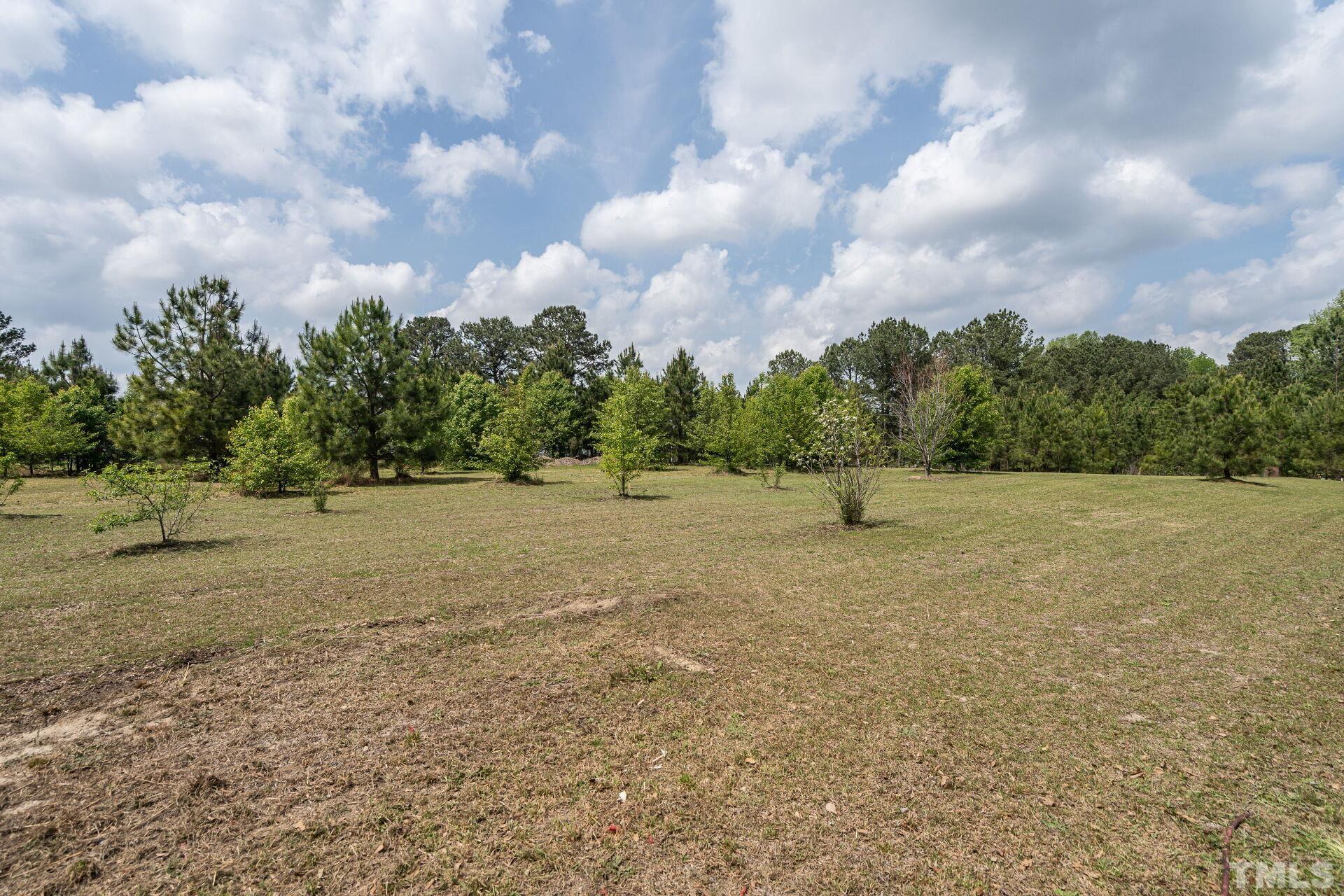Lot 3 Dawn Road Benson, NC 27504 - Photo 2 of 3