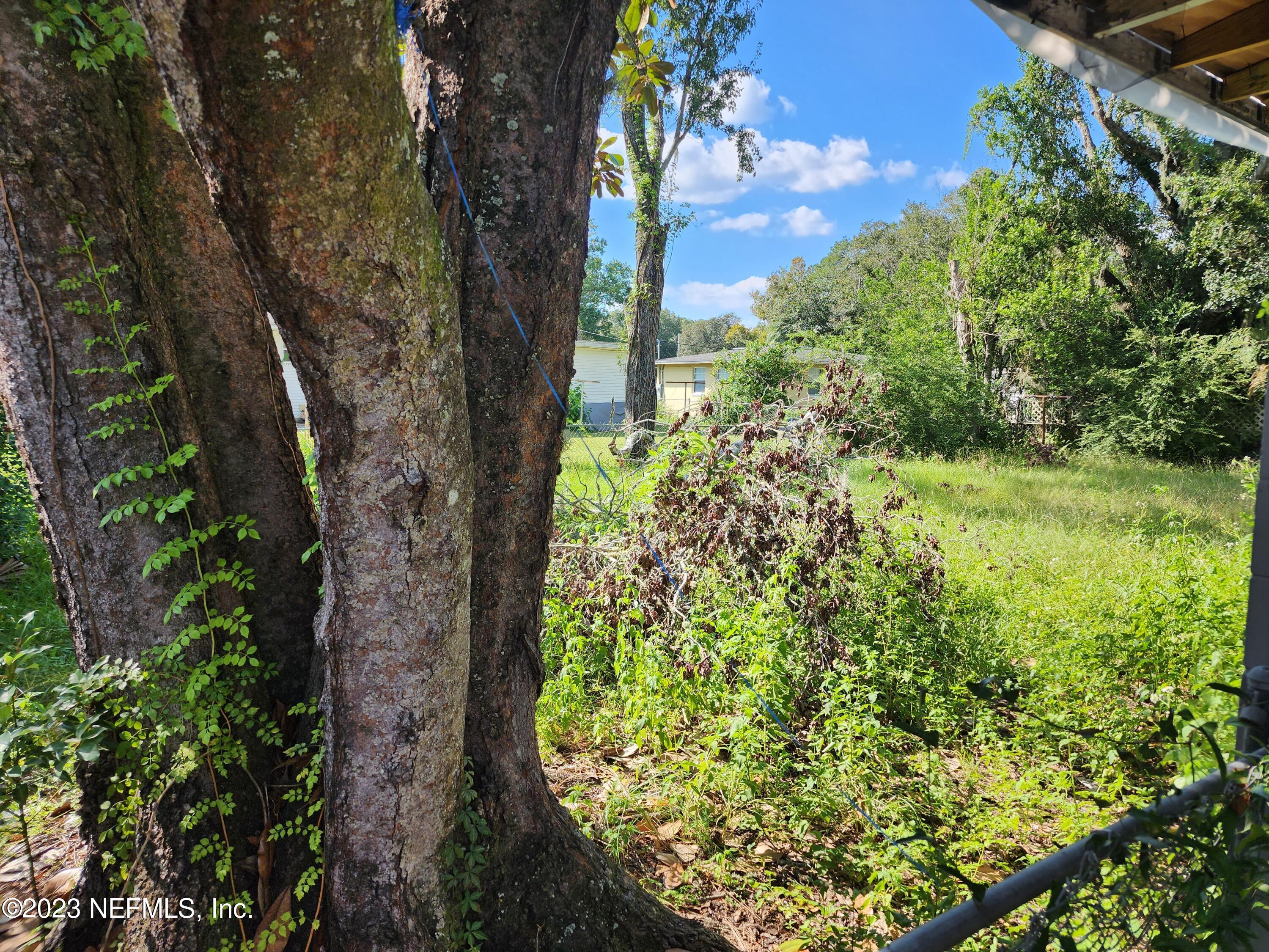 4718 Andromeda Road Jacksonville, FL 32210 - Photo 27 of 30 20230922_160303