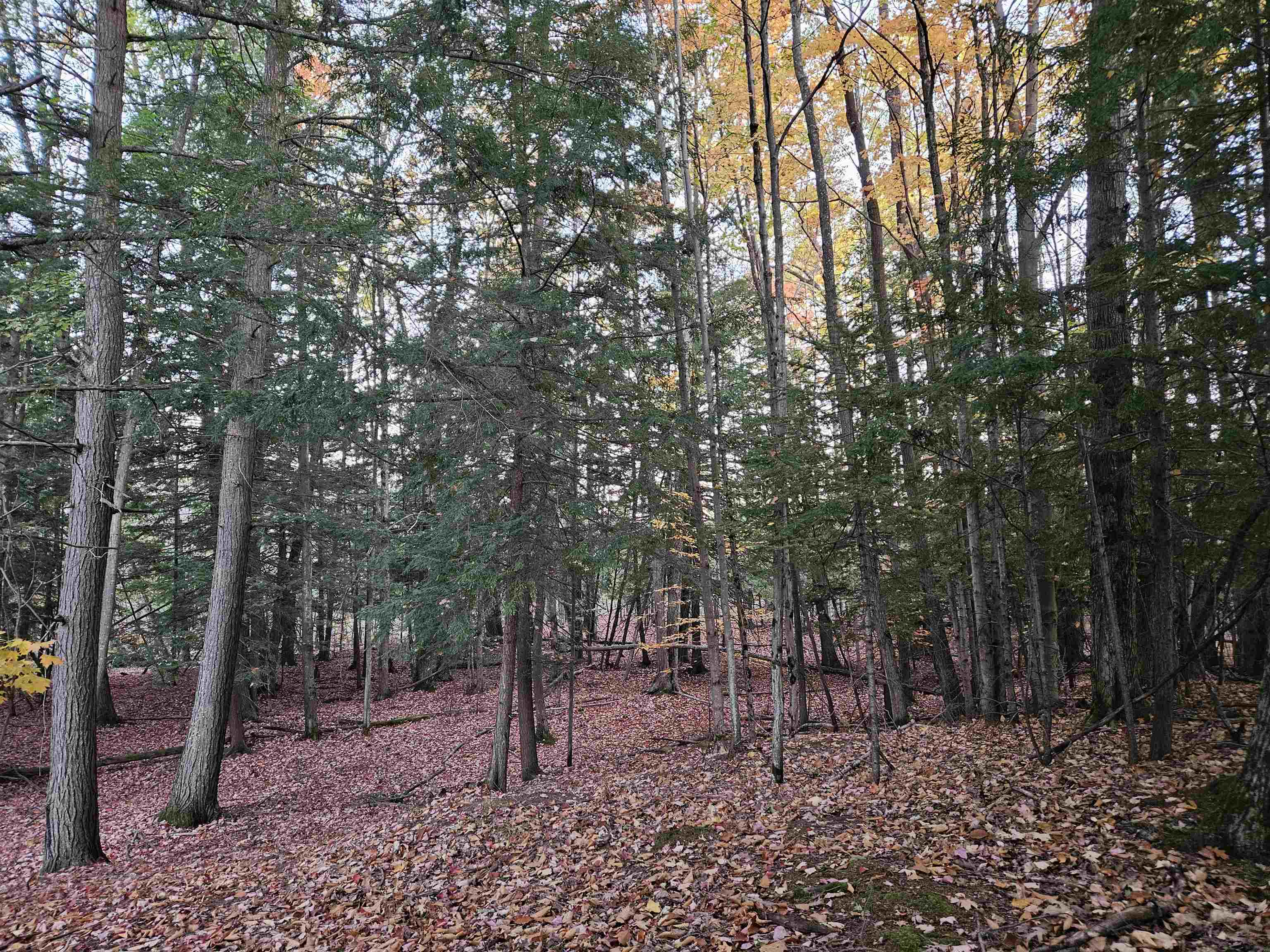 20 Diamond Park Road Interlochen, MI 49643 - Photo 8 of 15