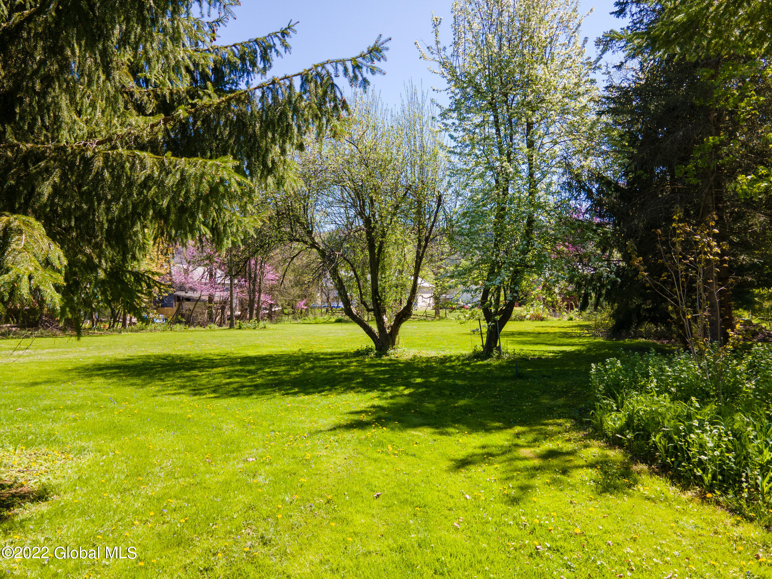115 Danforth Avenue Middleburgh, NY 12122 - Photo 85 of 103 Oversized lot with fruit trees