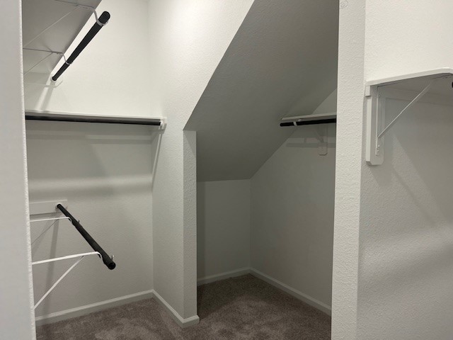 2134 Mosaic Vly Court Angleton, TX 77515 - Photo 23 of 27 a view of closet