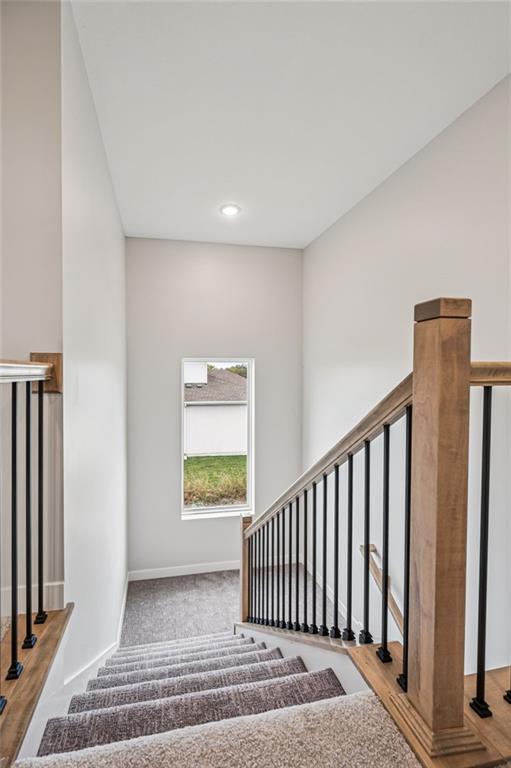 838 Reed Drive Raymore, MO 64083 - Photo 35 of 45