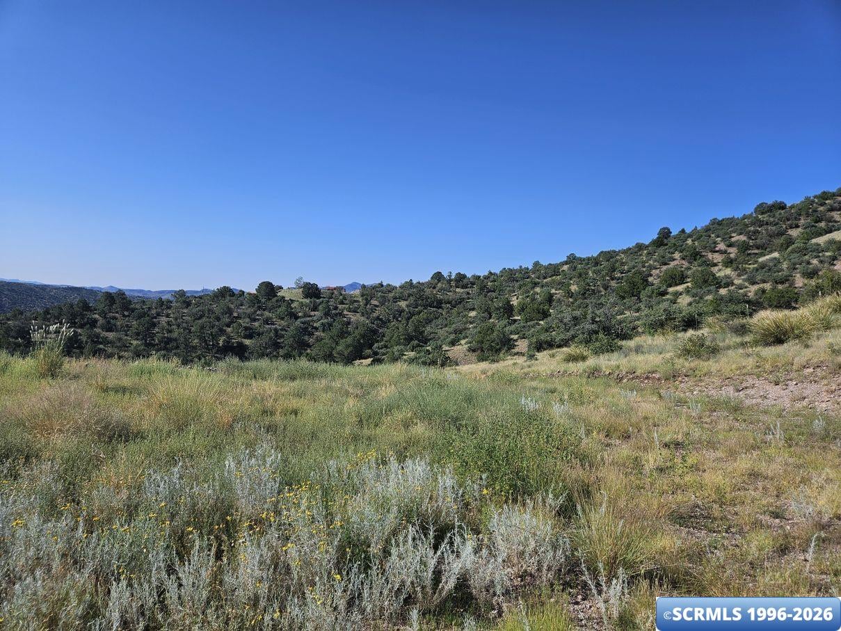 96 San Thomas Road Mimbres, NM 88049 - Photo 14 of 19 Gallery Image 14