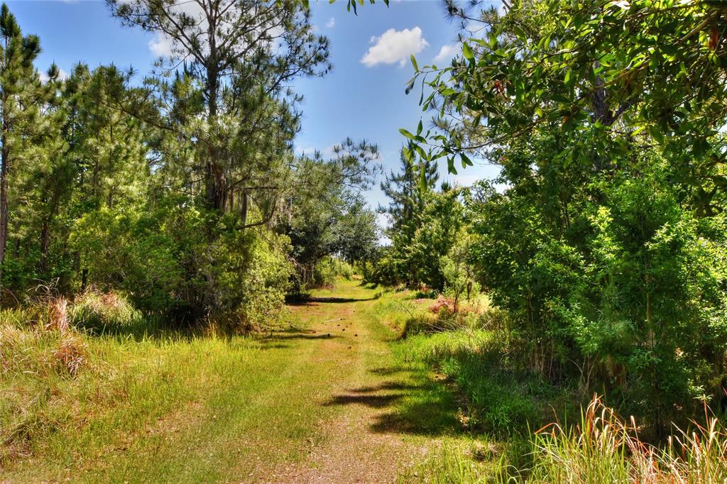 0 Lake Buffum Road West Fort Meade, FL 33841 - Photo 10 of 11