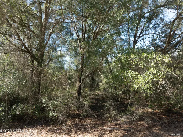a view of a yard with a tree