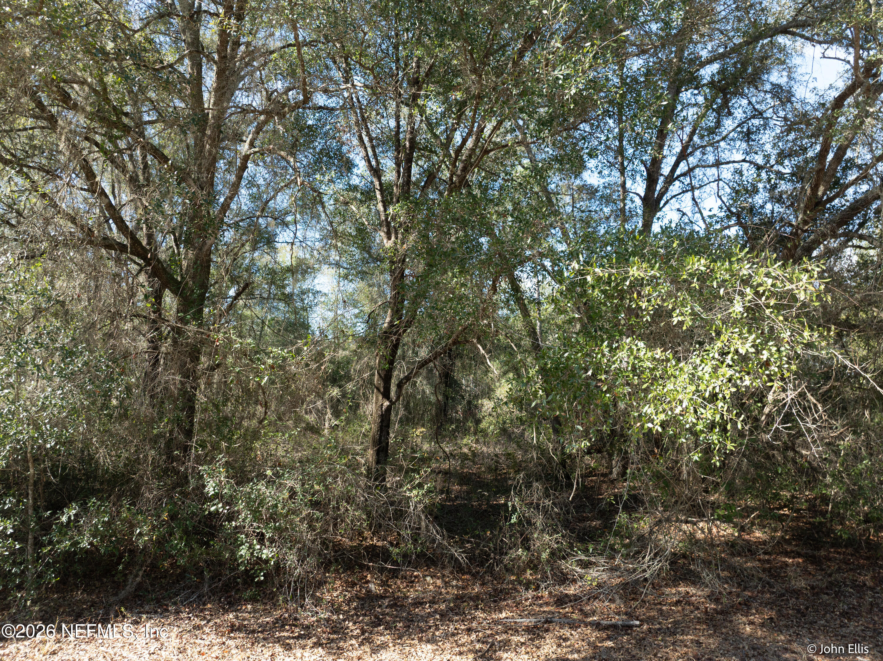 7644 Huron Court Keystone Heights, FL 32656 - Photo 5 of 12 7644 Huron Ct-5