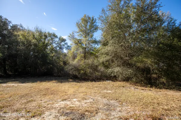 a view of a yard with a tree