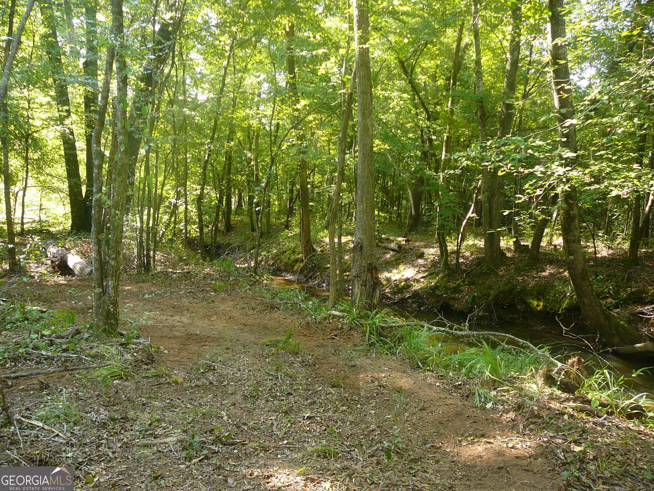 1073 Blount Road Jackson, GA 30233 - Photo 26 of 34