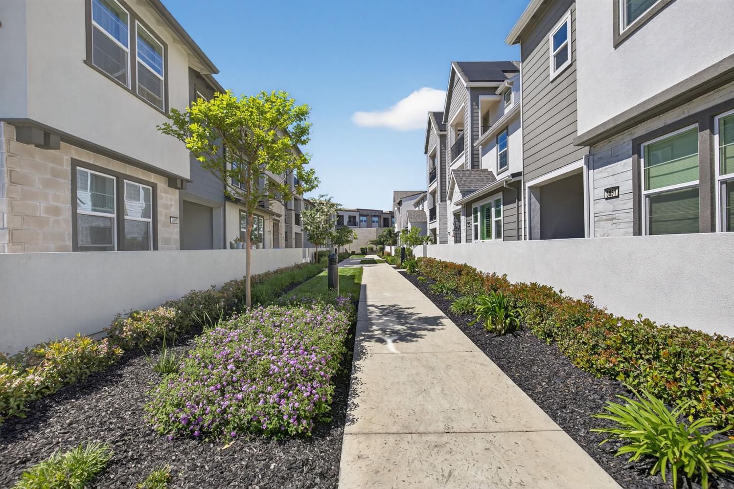3080 Windwalker Walk Sacramento, CA 95833 - Photo 52 of 61 a view of a pathway with a house