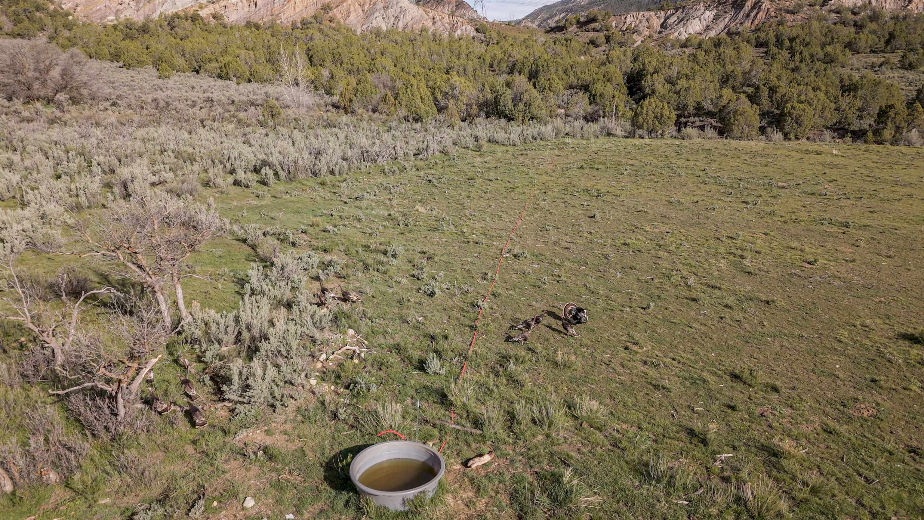 11799 Highway 13 Rifle Co 81650 Rifle, CO 81650 - Photo 13 of 42